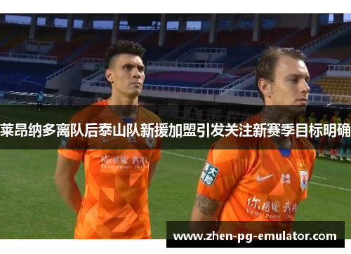 莱昂纳多离队后泰山队新援加盟引发关注新赛季目标明确