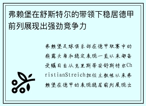 弗赖堡在舒斯特尔的带领下稳居德甲前列展现出强劲竞争力